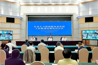 聚力创新驱动 赋能高质量就业——全省人力资源服务业发展工作推进电视电话会议召开